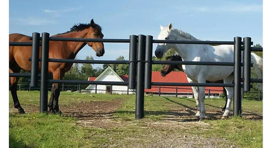 Doppeltor DeLuxe 3-6m xtra breit - 